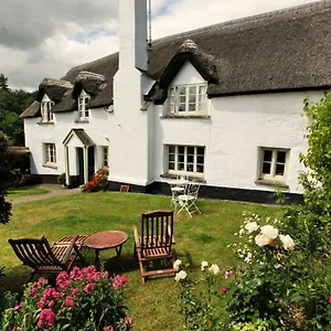 Brook Exeter